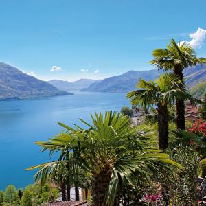 Lago Maggiore