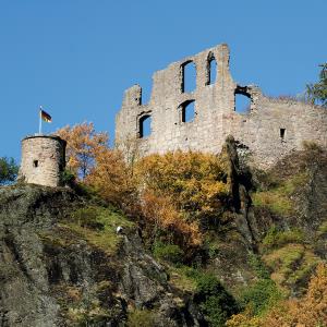 Pfälzerwald - Deutsche Weinstraße